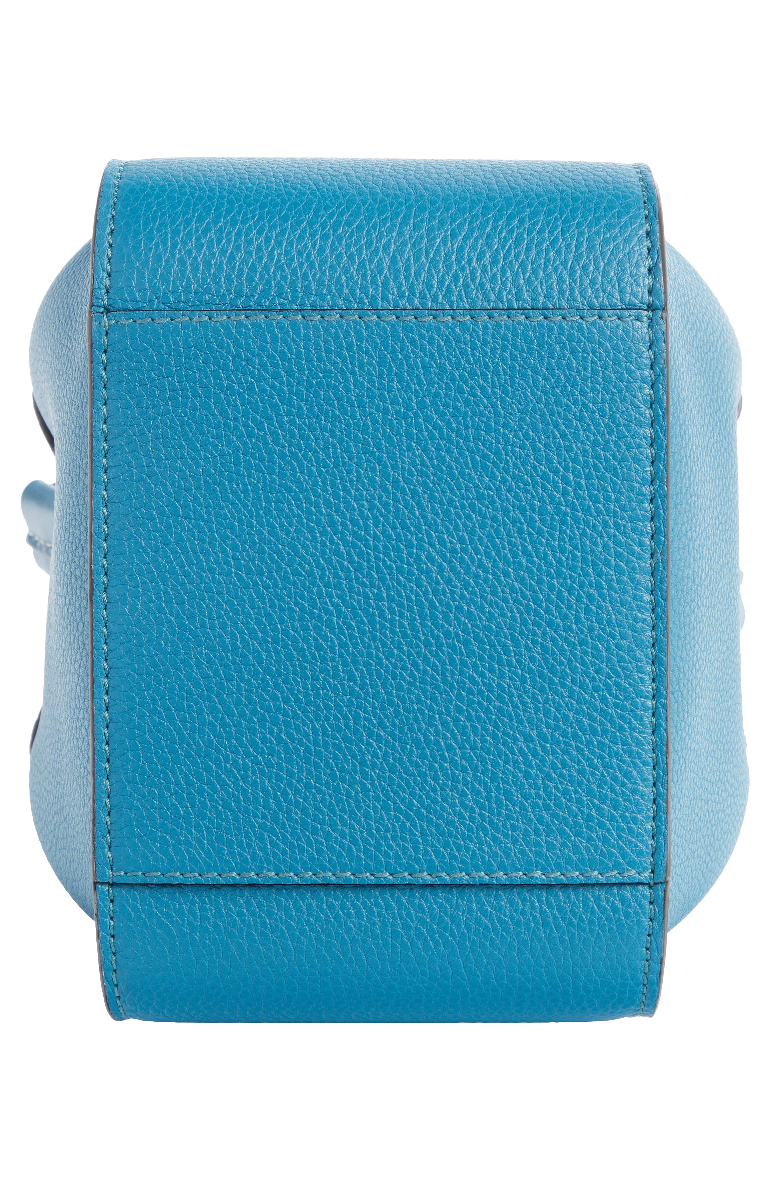 Loewe Hammock Mini Leather Hobo, Alternate, color, 