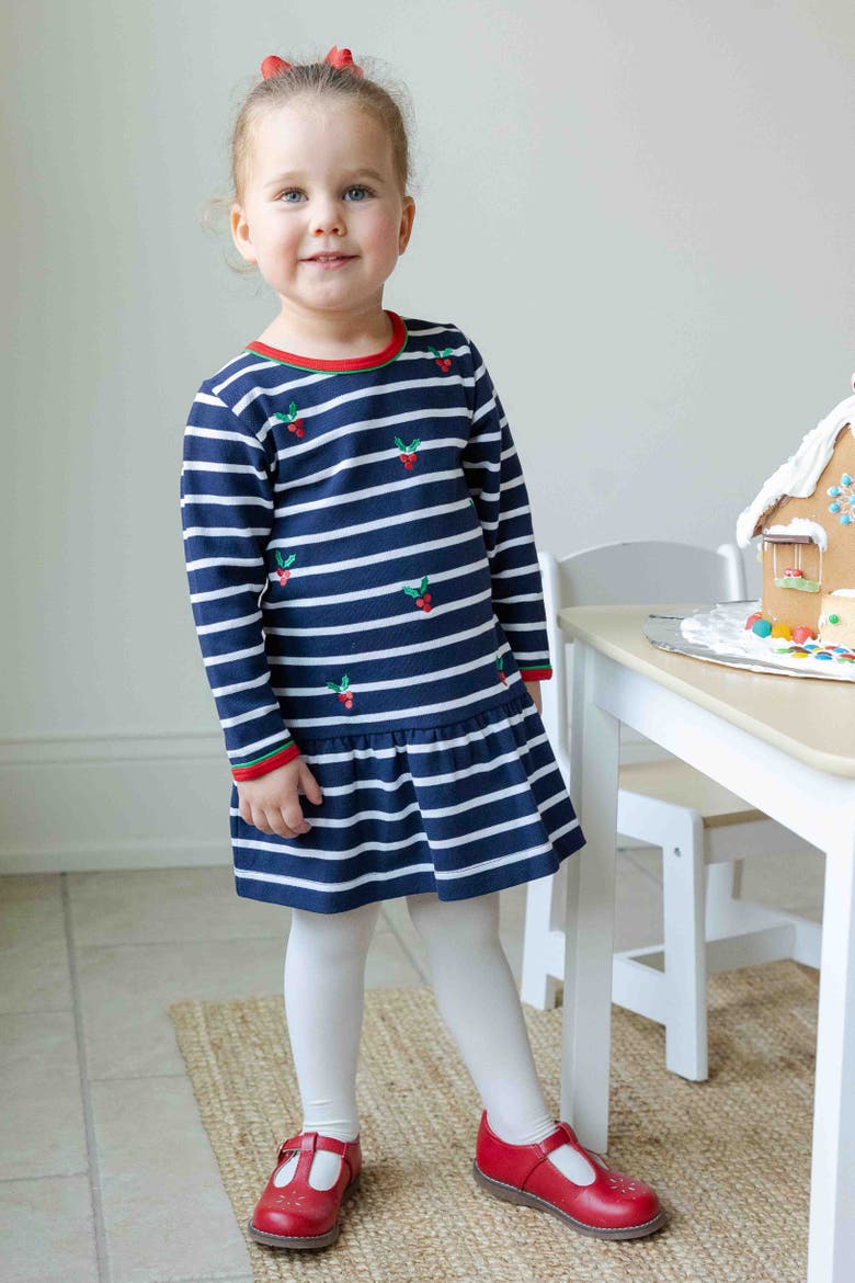 Stripe Knit Dress With Embroidered Holly, Alternate, color, Navy, Red, Green, White