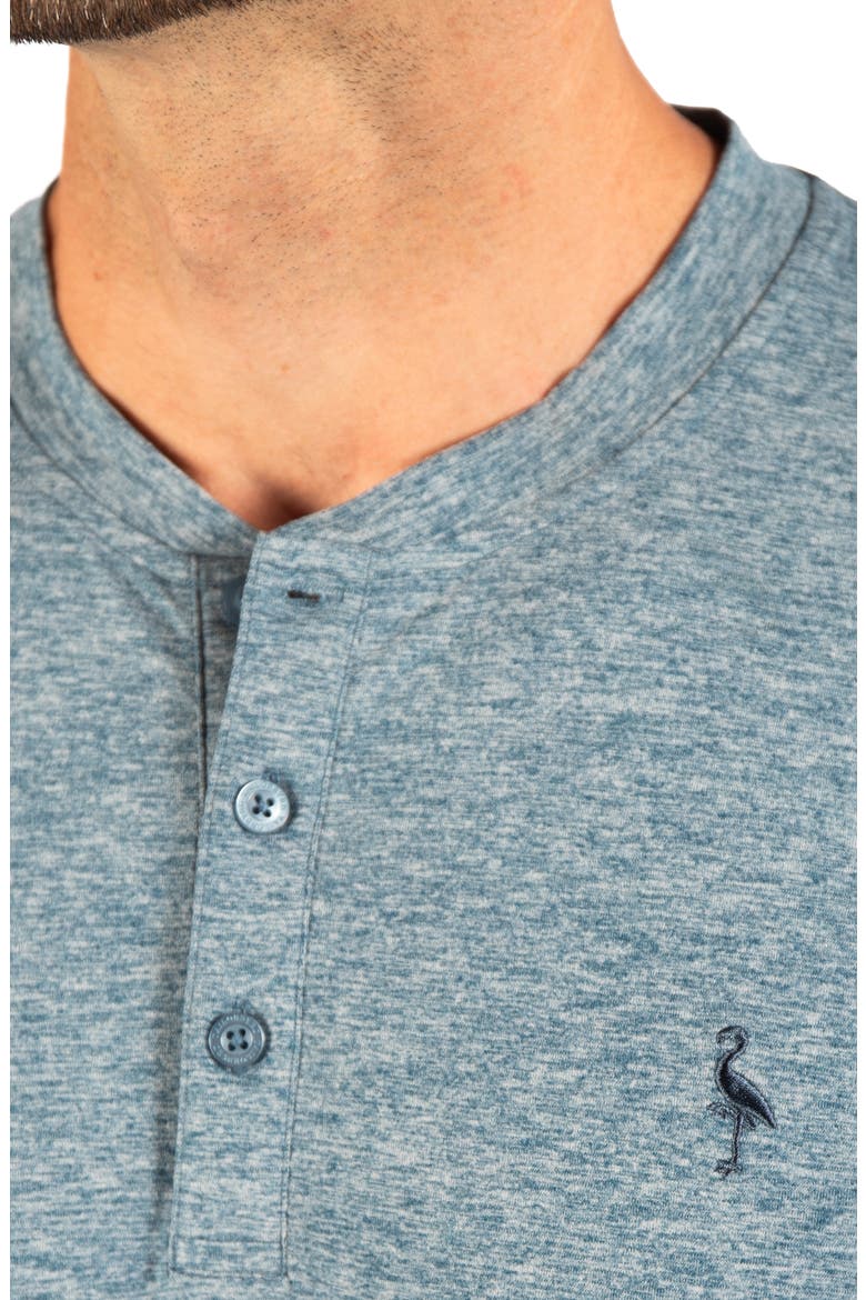 Brushed Melange Long Sleeve Henley, Alternate, color, SEA BLUE
