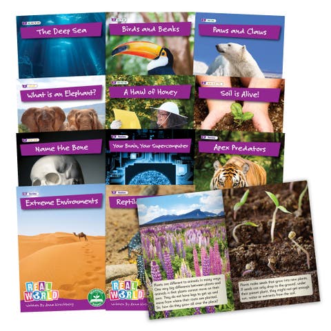 Real World Phase 5 Hilo Decodable Books