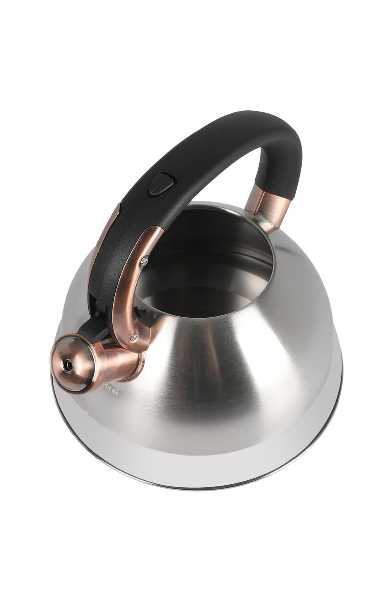 Mr. Coffee Flintshire 2.2 Quart Stainless Steel Whistling Tea Kettle W/ Nylon Handle, Alternate, color, Metallic Silver