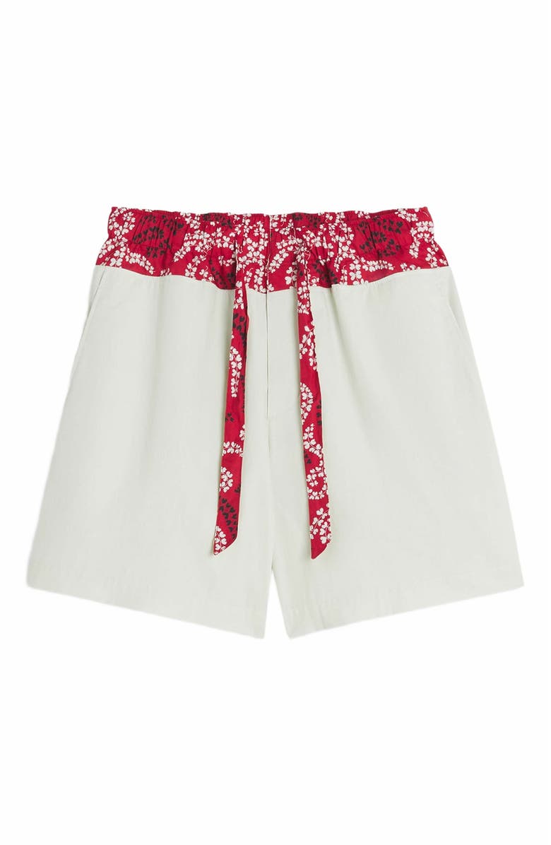 Lanvin Printed Cotton Shorts, Alternate, color, 