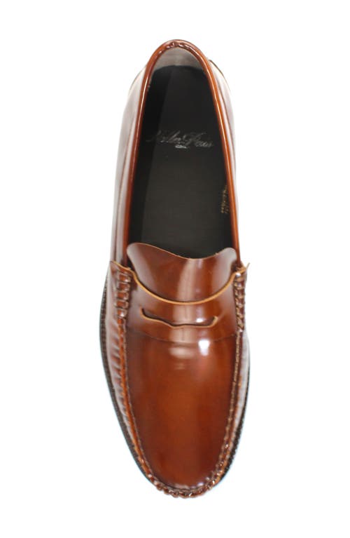 Vellapais Rozel Penny Loafer In Brown