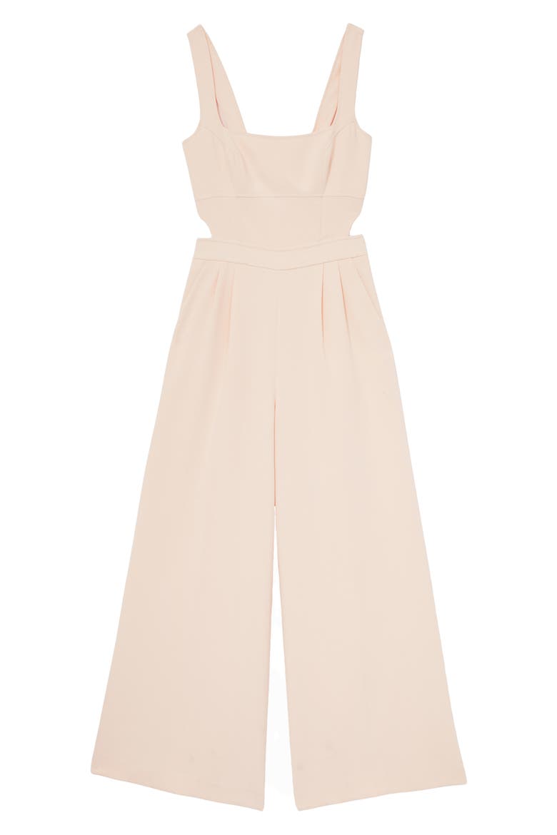 Dion Sleeveless Wide Leg Jumpsuit, Alternate, color, PALE PINK