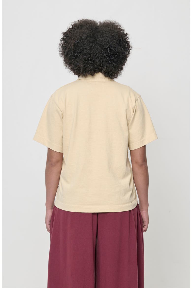 Trash Polo, Alternate, color, Turtle Dove