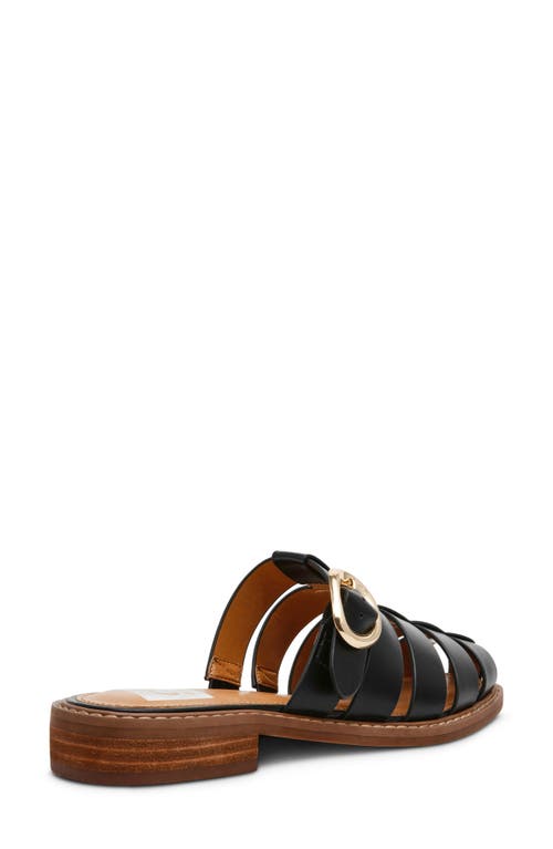 Dolce Vita Dv By  Fyona Mule Sandal In Black
