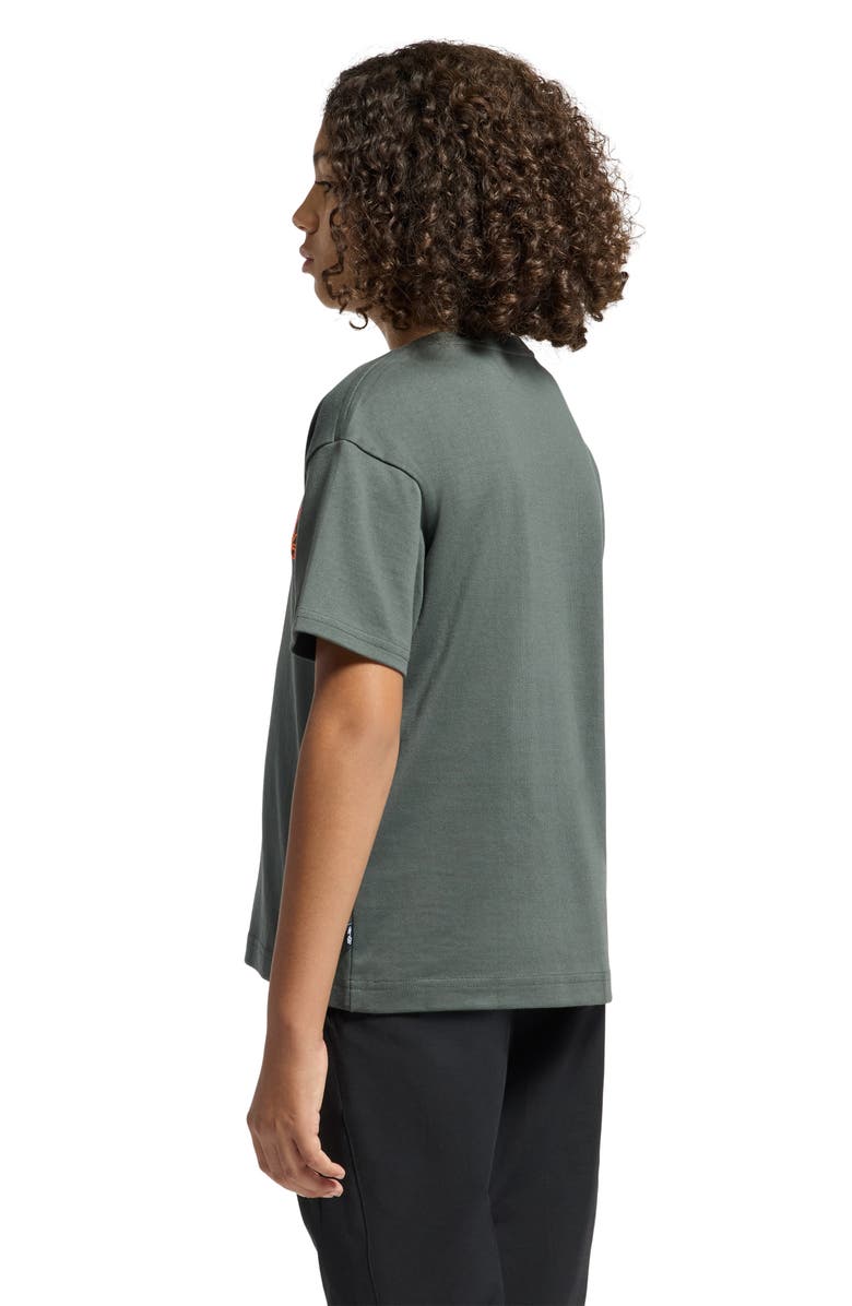 Psycho Bunny Kids' Embroidered Cotton Graphic T-Shirt, Alternate, color,