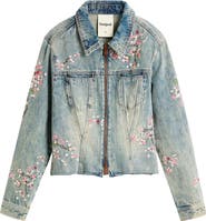Desigual Embroidered Denim Trucker Jacket