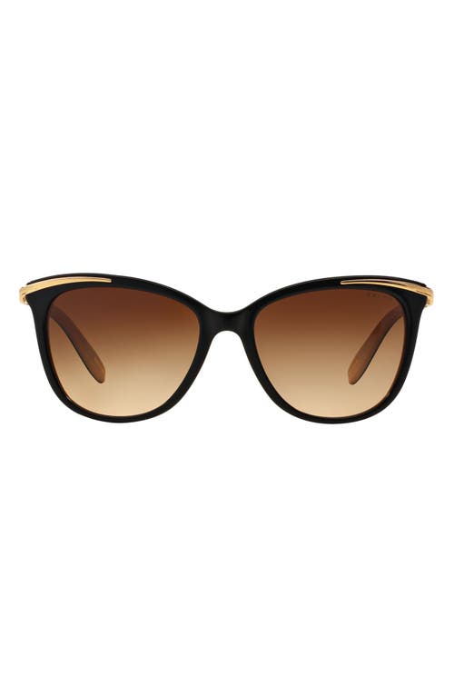 RALPH by Ralph Lauren 54mm Gradient Cat Eye Sunglasses in Blacktan  product