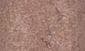 MICA BEIGE - SHIMMER