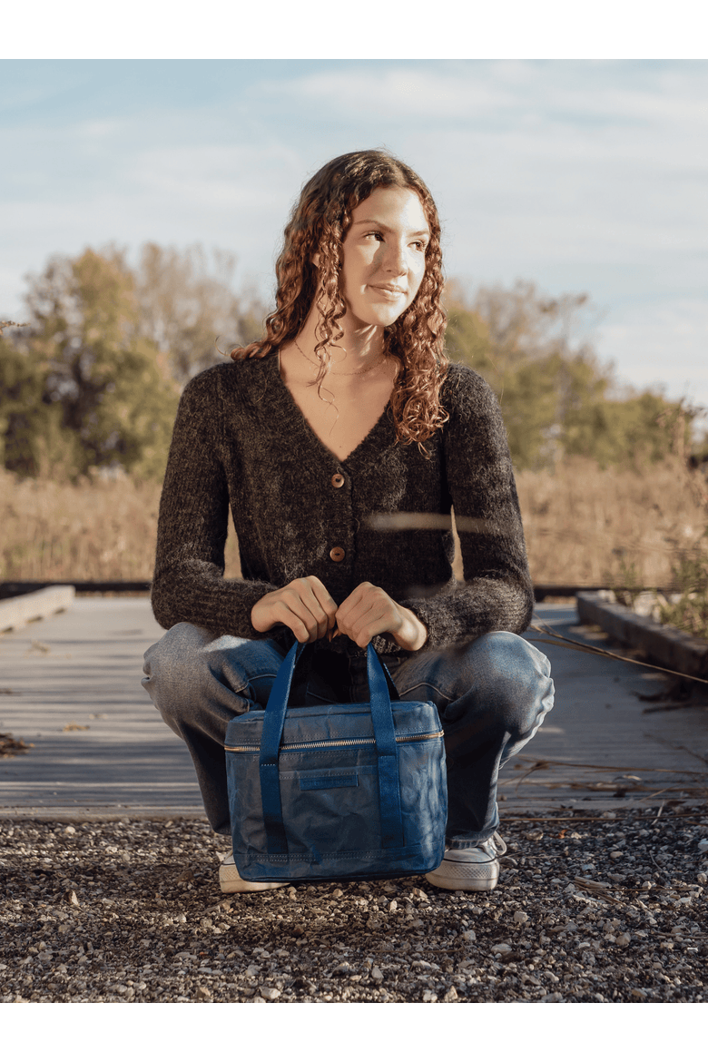 Walrus Lunch Cooler, Alternate, color, Navy