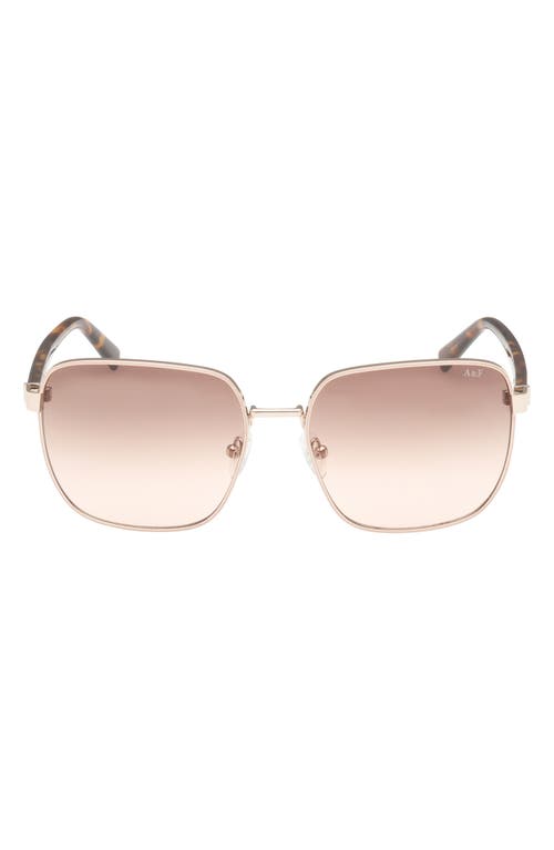 ABERCROMBIE & FITCH 58mm Square Sunglasses in Gold /Brown Beige Gradient 