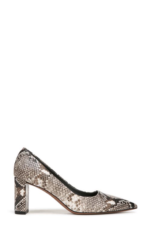 Franco Sarto Giovanna Pointed Toe Pump