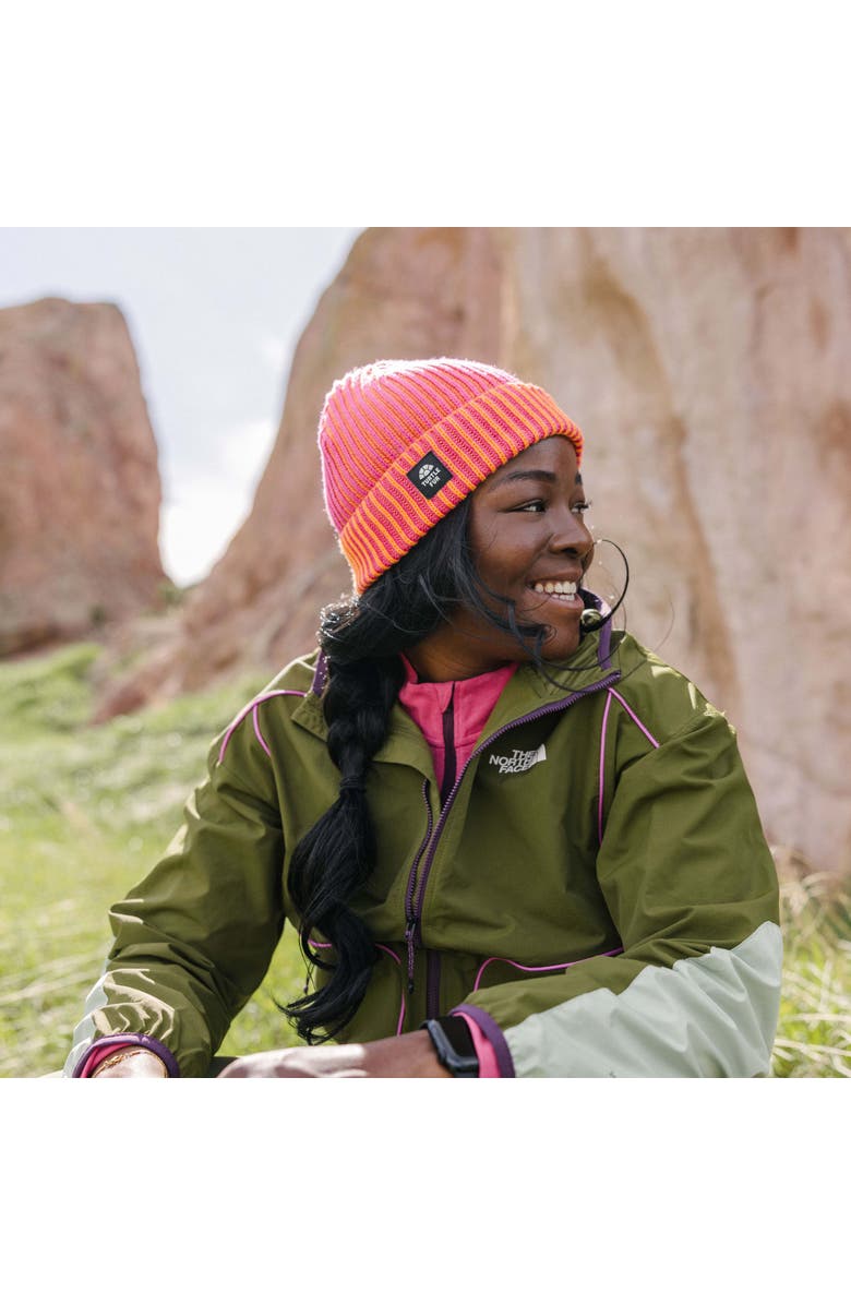 Turtle Fur Sugarshack Watch Cap, Mint, Alternate, color, Mint