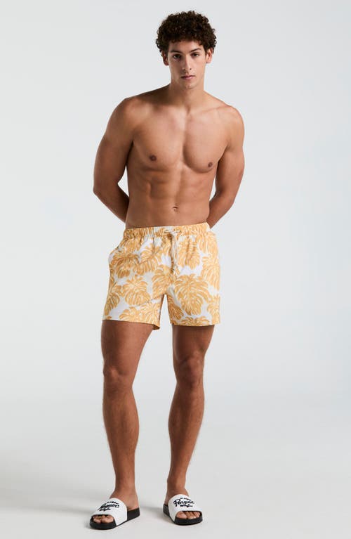 Original Penguin 5 All Over Print Monstera Swim Trunk In Jurassic Gold