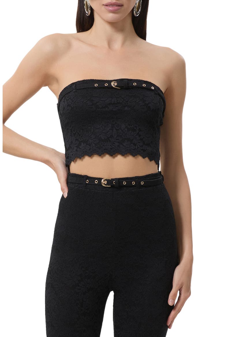 Remy Strapless Lace Crop Top, Main, color, NOIR