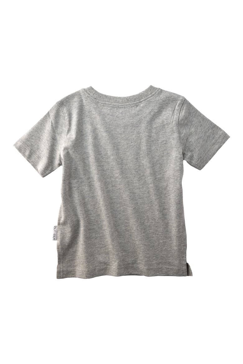 Taylor Assorted 5-Pack Organic Cotton T-Shirts, Alternate, color, STONE