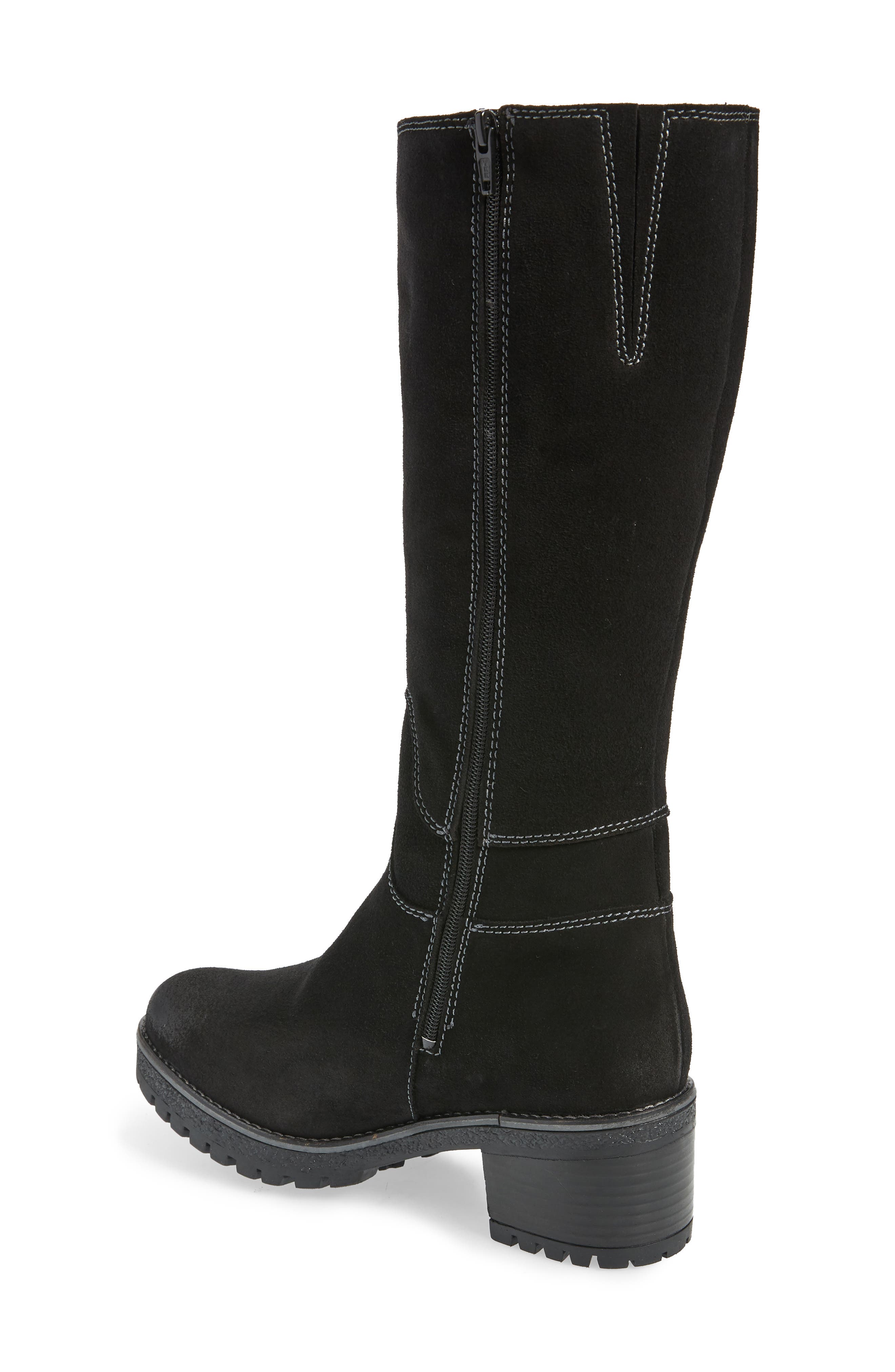 Bos. & Co. Martial Wool Lined Waterproof Suede Tall Boot, Alternate, color, 