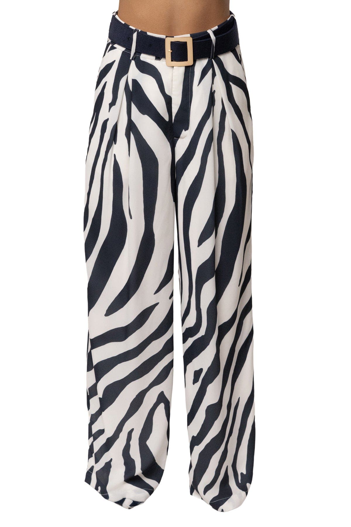 Navy Zebra