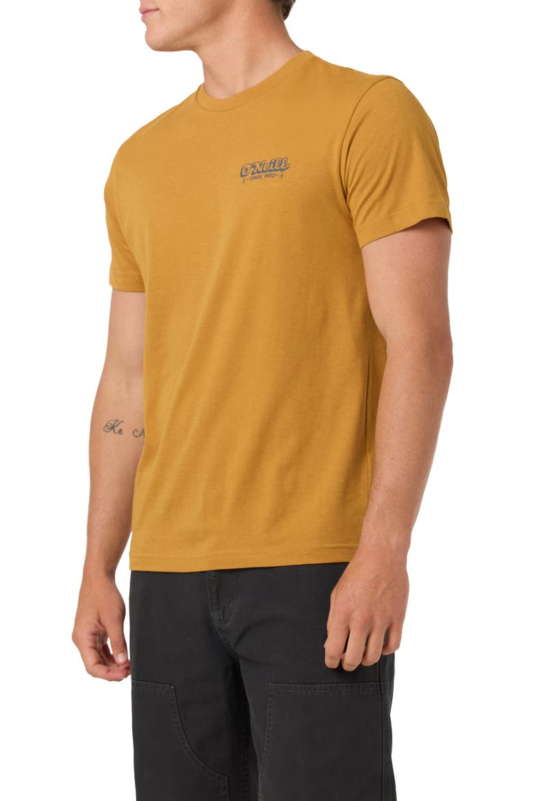 Painter Classic Cotton Graphic T-Shirt, Alternate, color, BONE BROWN