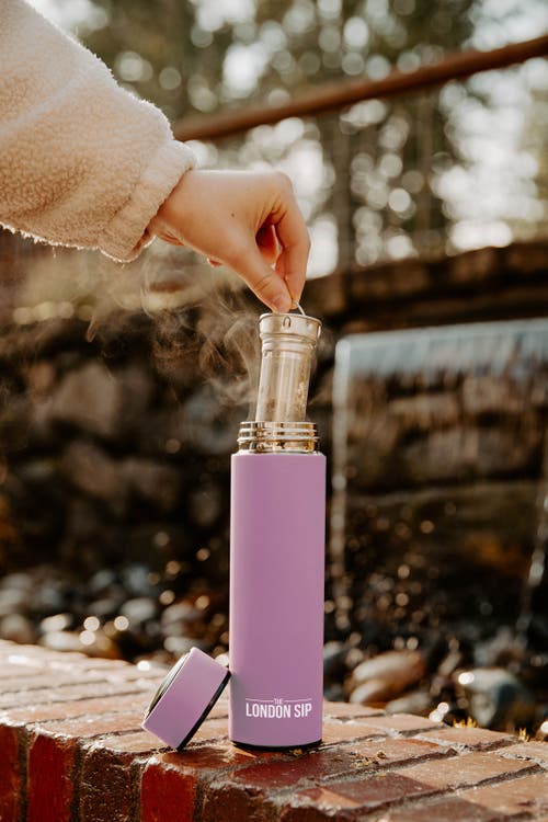 London Sip Infuser Bottle 16oz In Purple