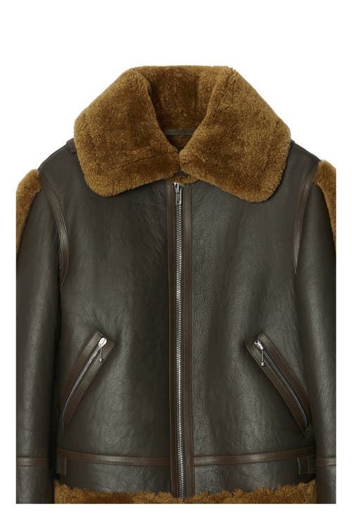 Burberry Shearling Leather Aviator Jacket In Brown
