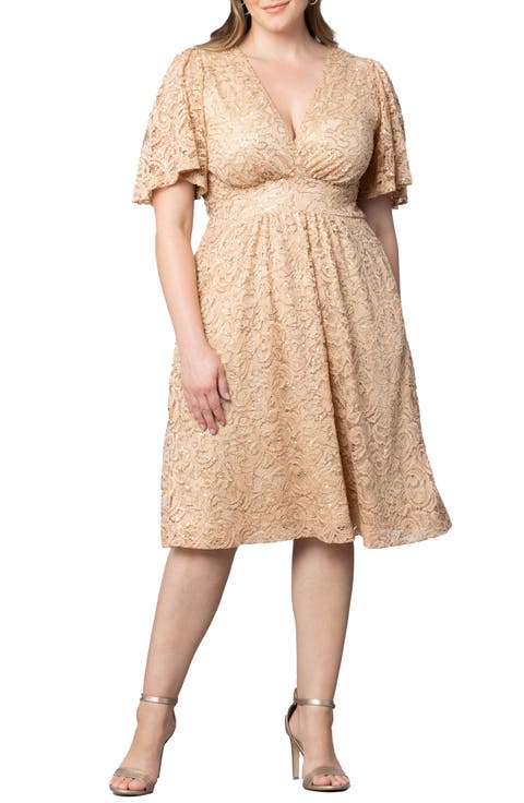 Starry Sequin Lace Fit & Flare Cocktail Dress (Plus)