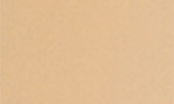 2W1 TAUPE