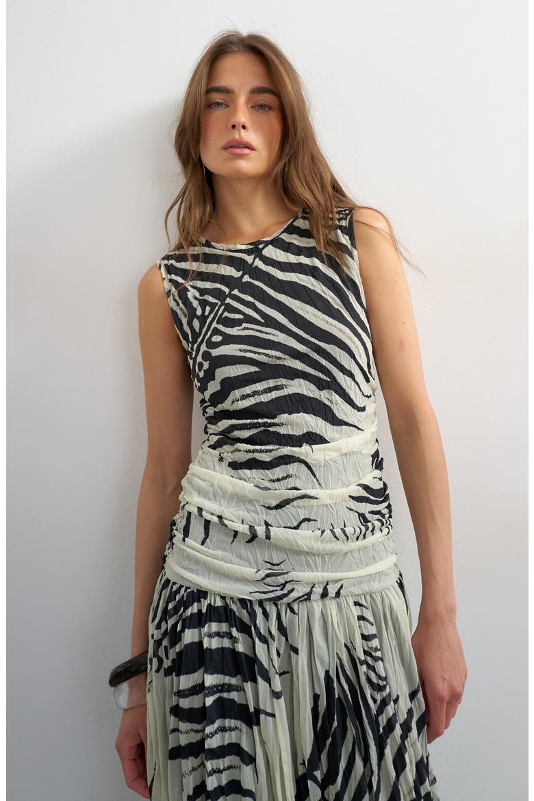 Zebra Print Drop Waist Maxi Dress, Alternate, color, WHITE