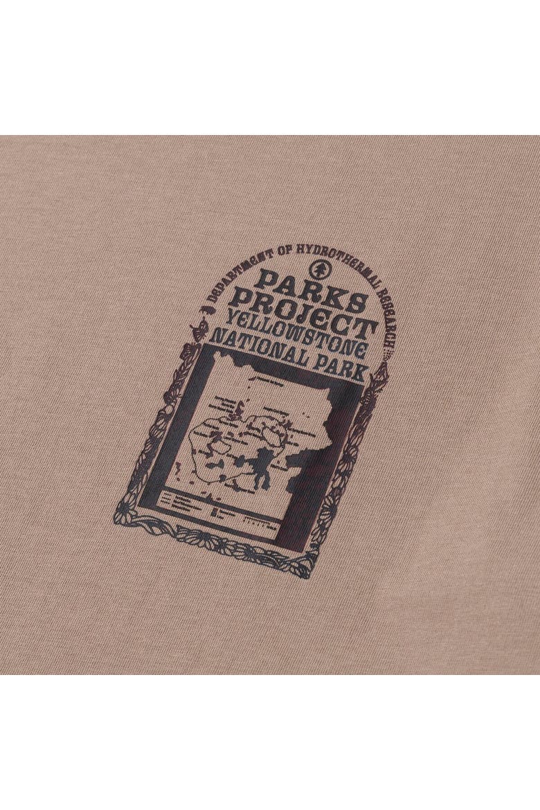 Hydrothermal Study T-Shirt, Alternate, color, Mushroom Grey
