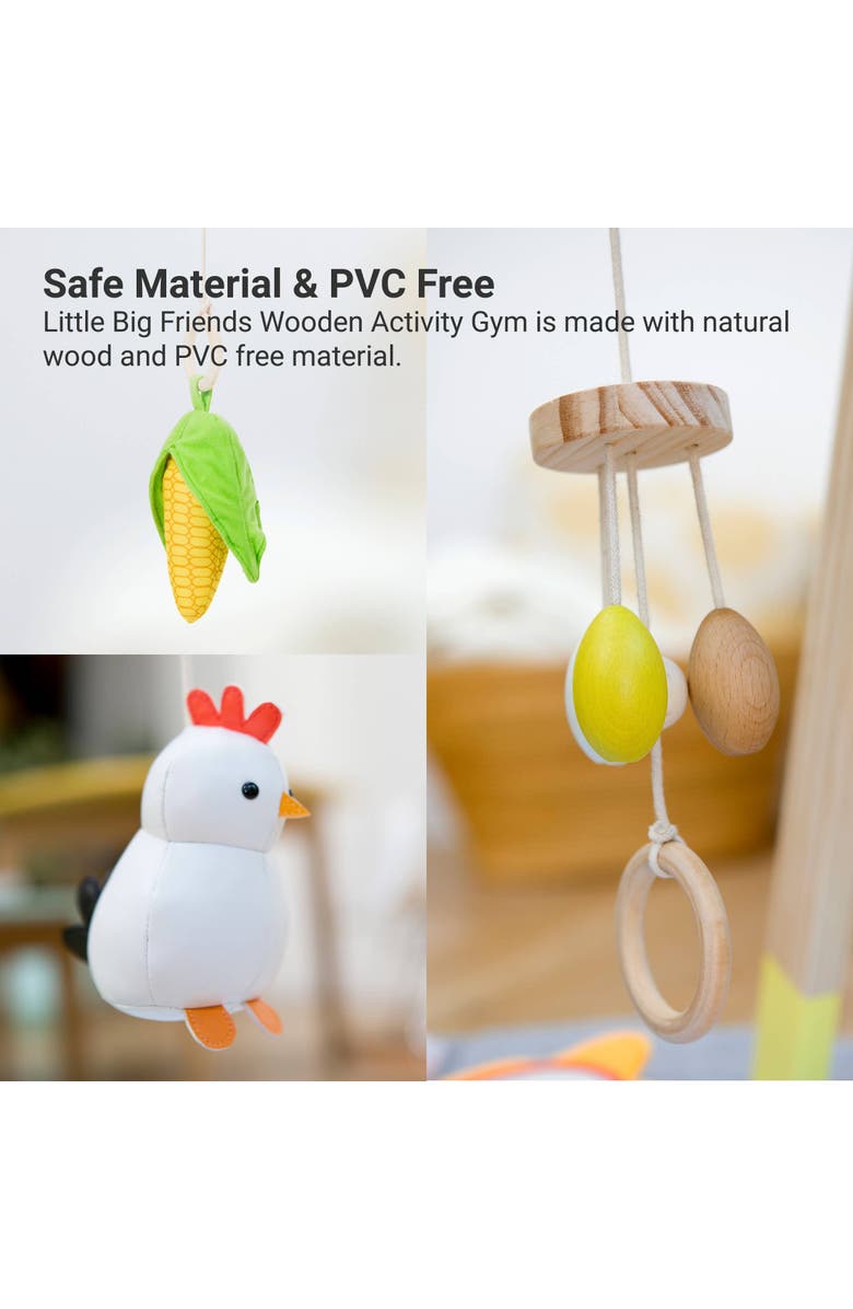 Little Big Friends Wooden Activity Arch - Farm, Baby Gym & Sensory Toys, Alternate, color, Multicolor