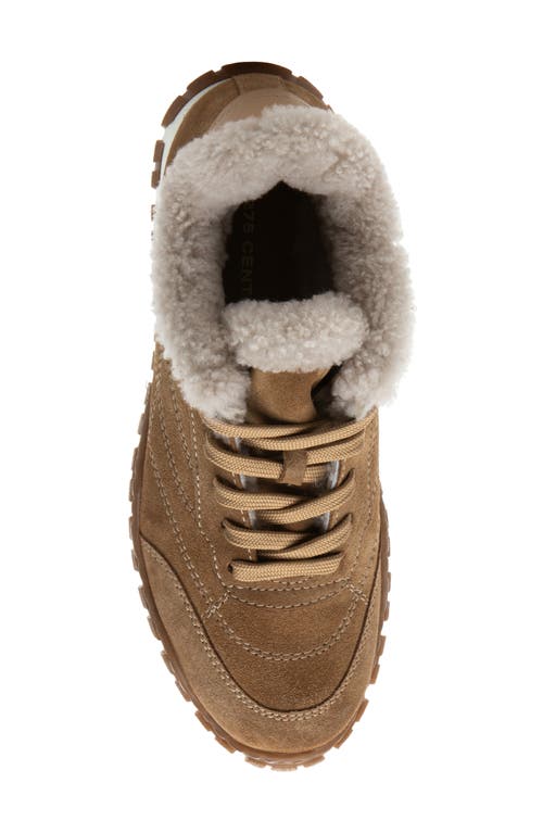 275 Central Qutie Genuine Shearling Lined Sneaker In Brown