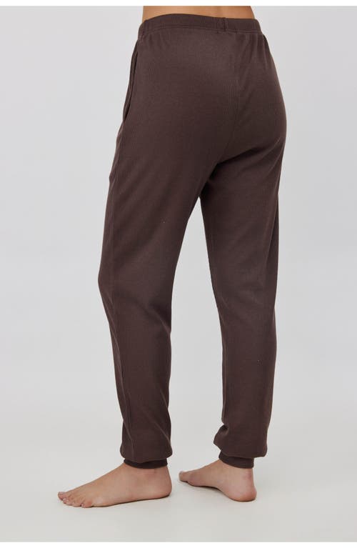 Gottex Beach Life Sandy Days Loungewear Jogger Bottoms In Brown