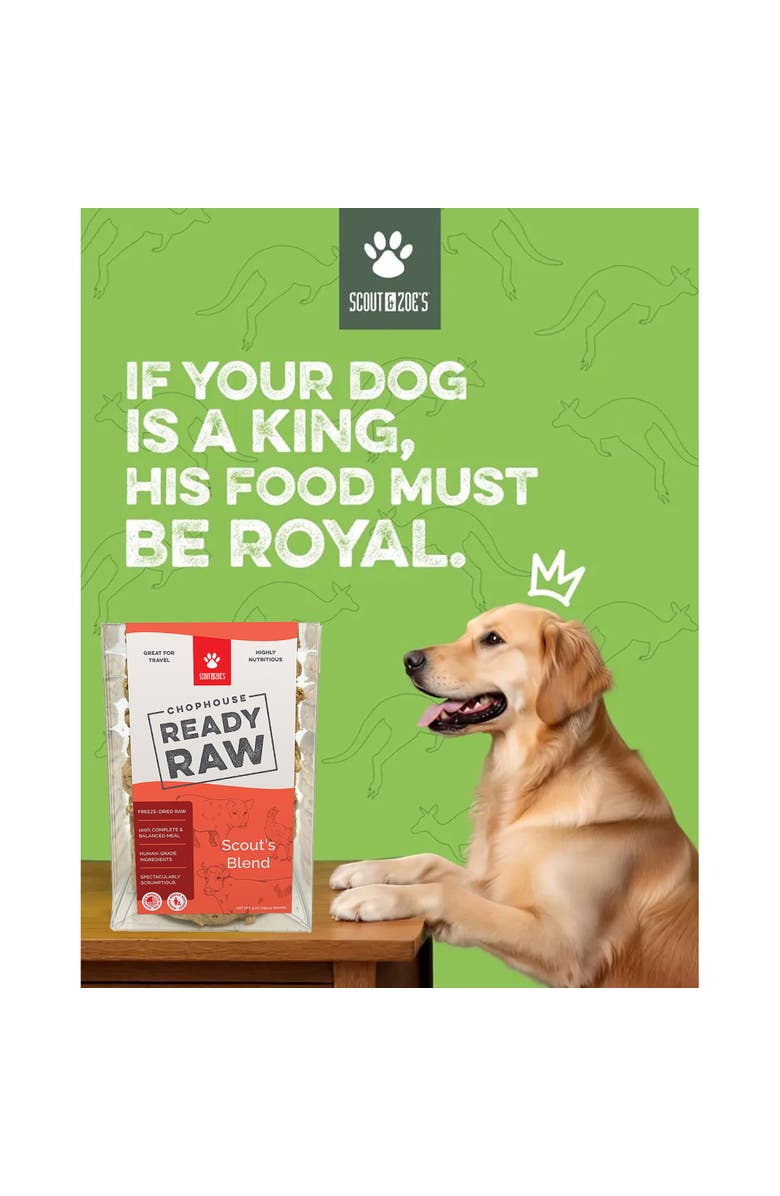 Scout & Zoe's Chophouse Ready Raw, Scouts Blend, Dog Food Freeze Dried Patties, Alternate, color, Multicolored