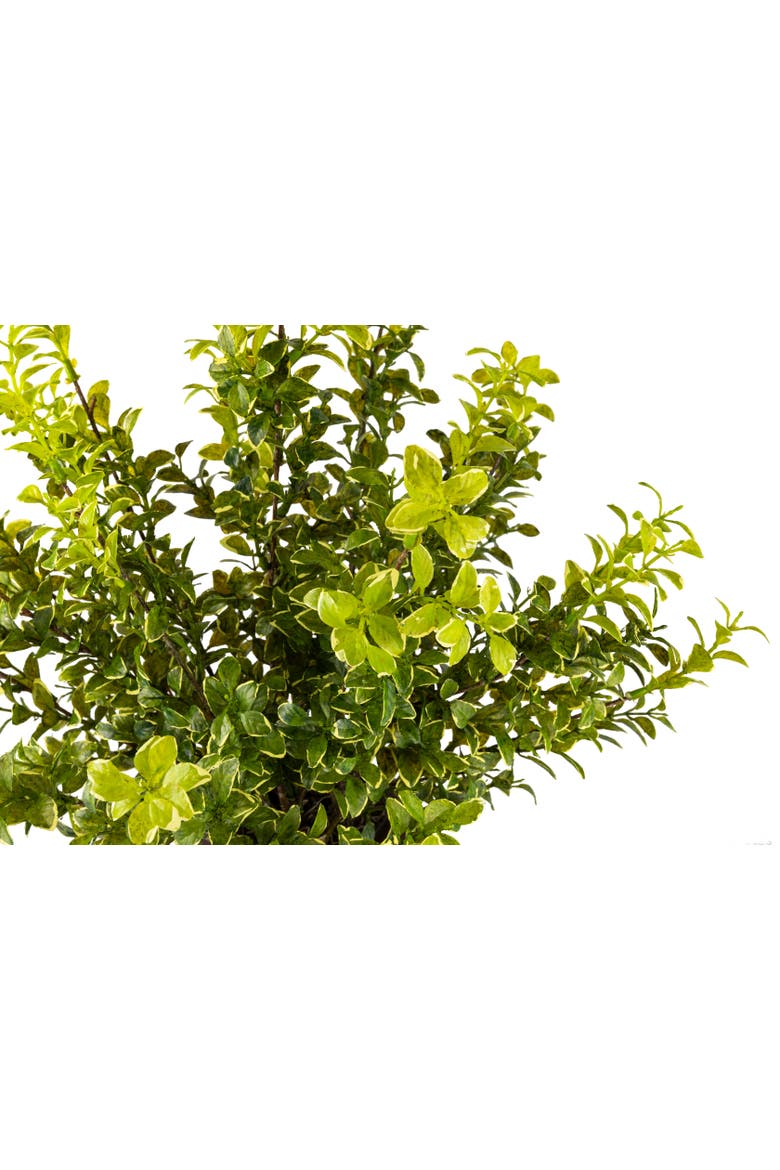 Henrik RealTouch Greenery Arrangement, Alternate, color, Green