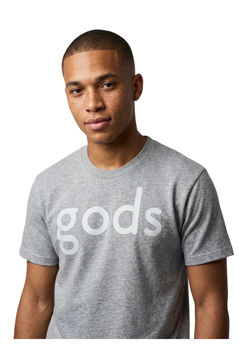 Gods Essential Tee, Main, color, Grey