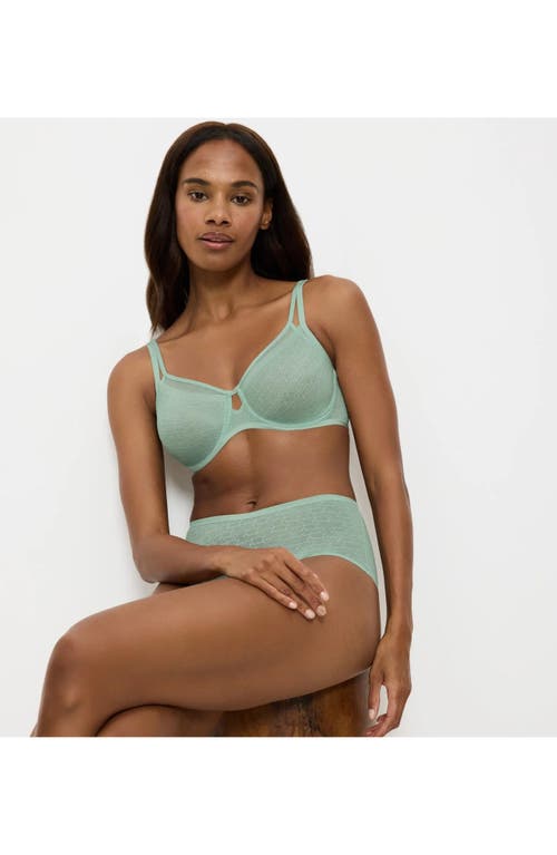 Triumph Signature Sheer Minimizer Bra In Blue