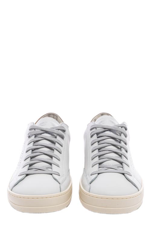 P448 John Sneaker In Multi