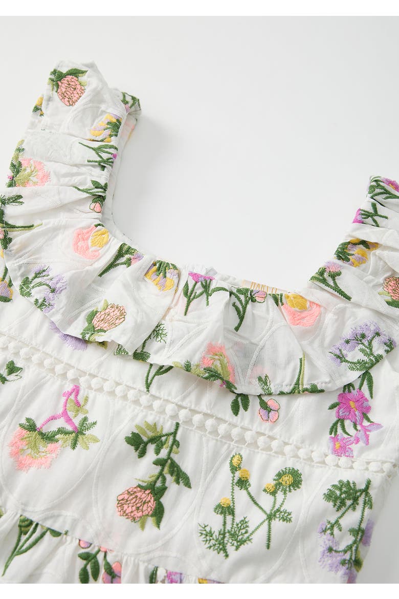 Emely Frill Embroidered Maxi Dress, Alternate, color, Floral
