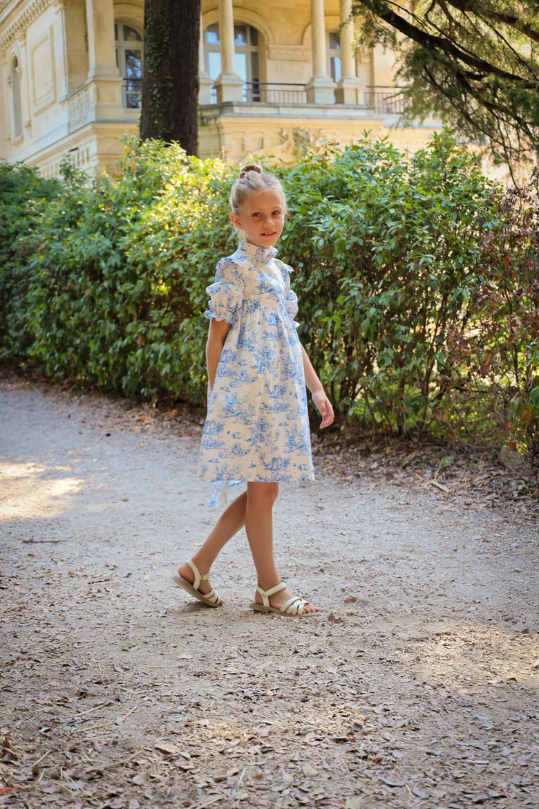Aoki Blue Toile Dress, Alternate, color, Blue Toile