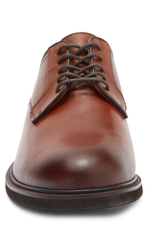 Nordstrom Rack Roland Plain Toe Derby In Brown