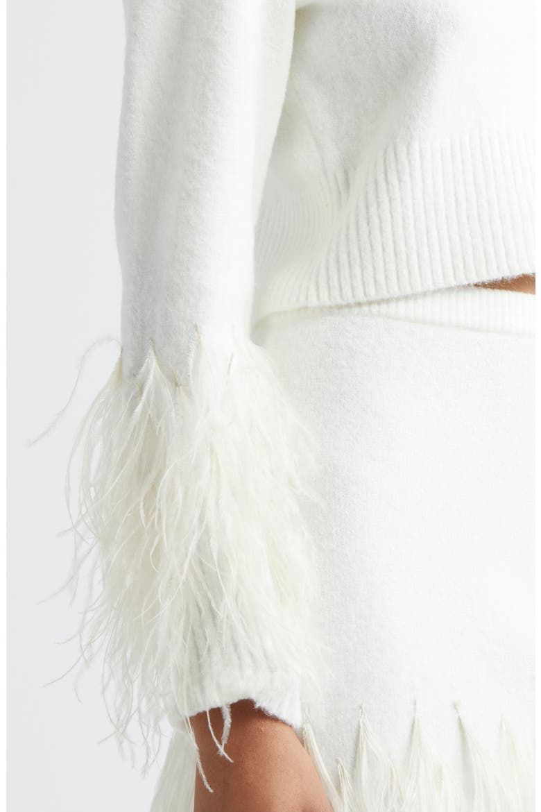 Briana Feather Trim Sweater, Alternate, color, IVORY