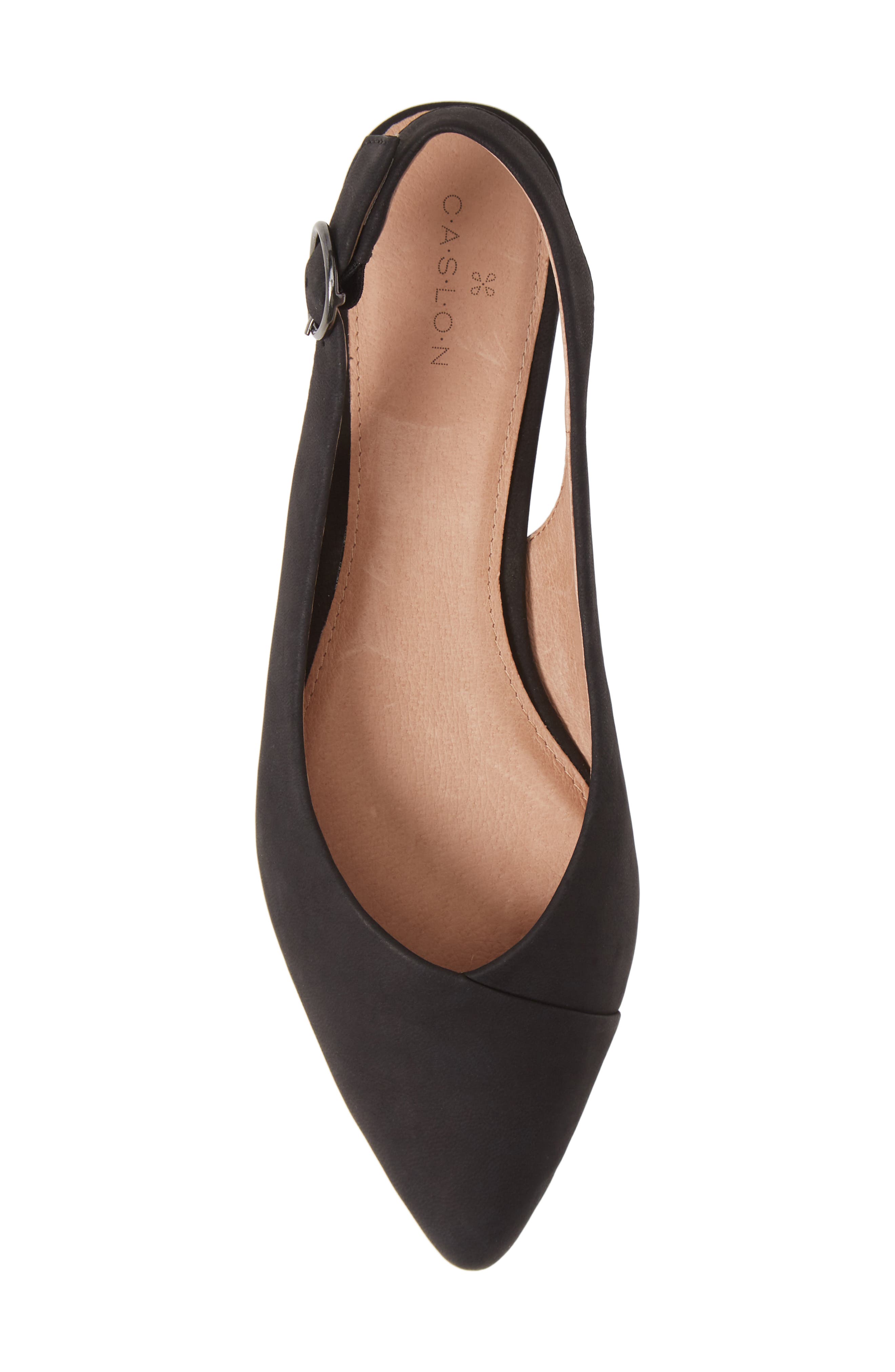 Caslon<sup>®</sup> Lexie Pointed Toe Slingback Flat, Alternate, color, 