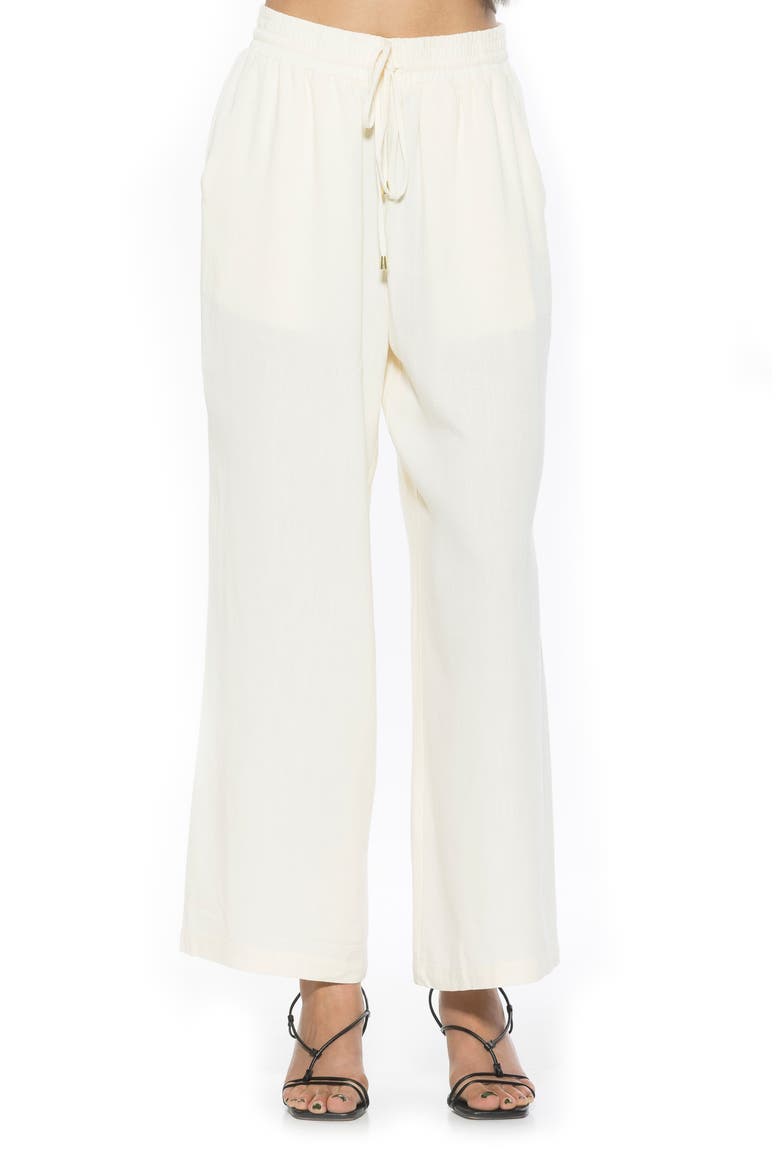 Xila Wide Leg Pants, Main, color, IVORY