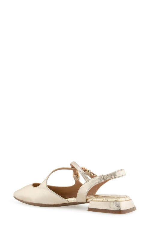 AEROSOLES AEROSOLES NAPOLI POINTED TOE SLINGBACK FLAT 