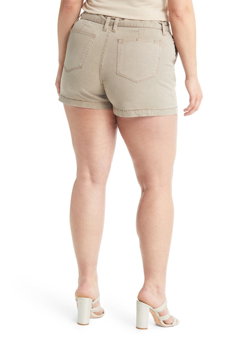 Anessa Tie Waist Pleated Shorts, Alternate, color, VINTAGE MOSS TAUPE