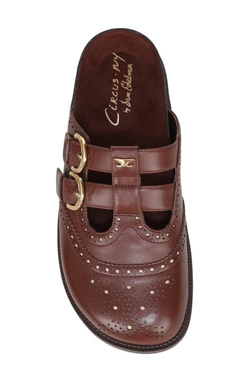 Circus Ny By Sam Edelman Claudia Mule In Brown