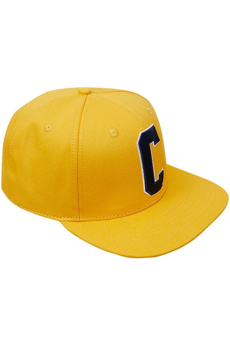 Men's Pro Standard  Gold Coppin State Eagles Evergreen C Snapback Hat, Alternate, color, Gold