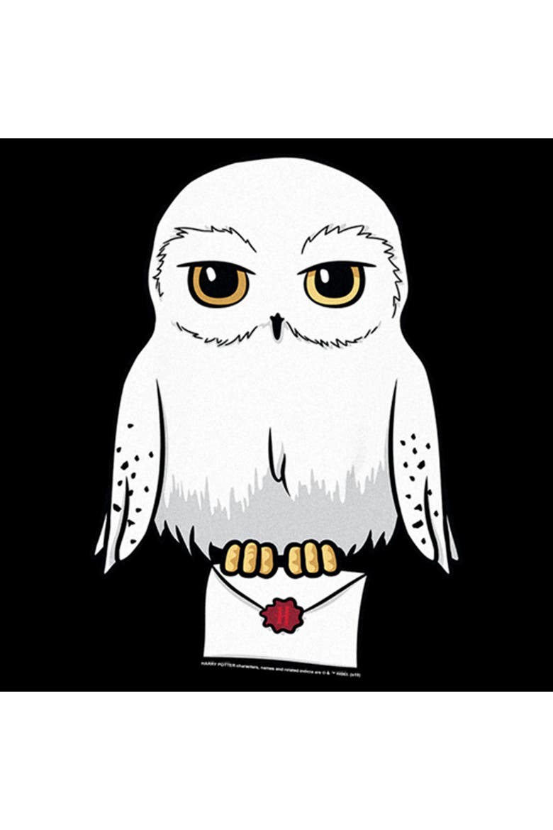 Girls' Cute Cartoon Hedwig Letter Graphic Cropped T-Shirt, Alternate, color, Black