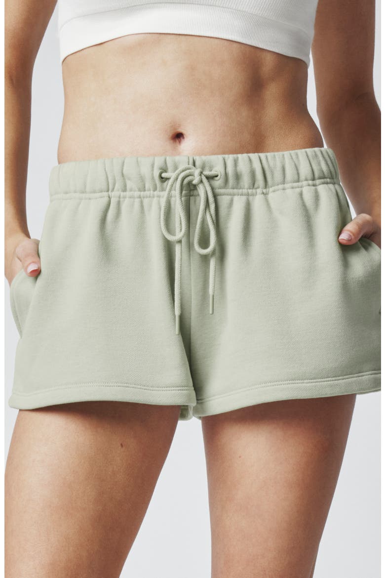 Embroidered Sweat Shorts, Alternate, color, DESERT SAGE